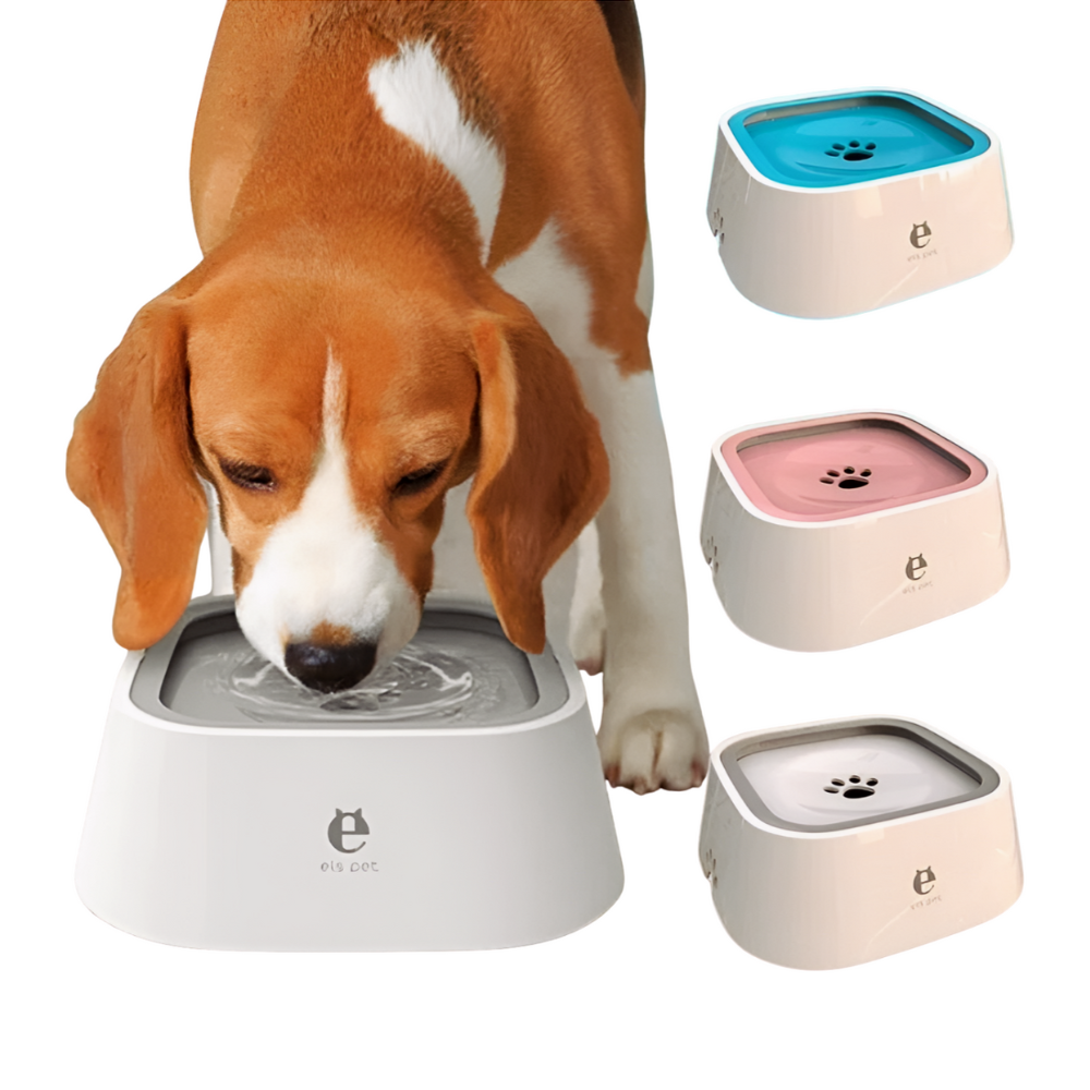 BlissTails Anti-Spill Dog Water Bowl 🚚 Free shipping — no surprises at checkout.