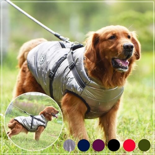 BlissTails Waterproof Dog Harness Jacket 🚚 Free shipping — no surprises at checkout.