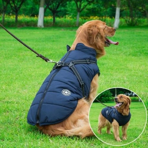 BlissTails Waterproof Dog Harness Jacket 🚚 Free shipping — no surprises at checkout.